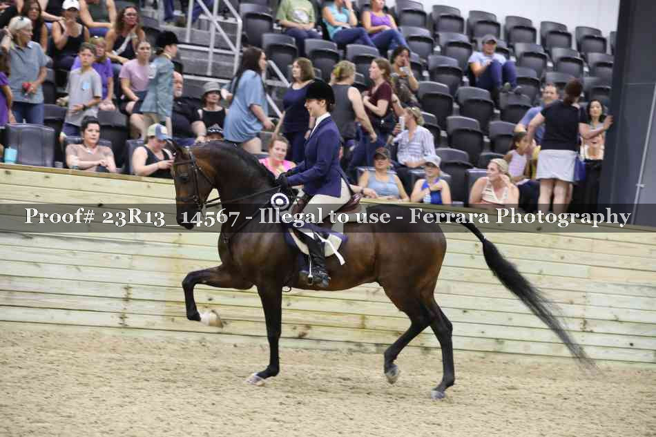 Proof 23R13_14567