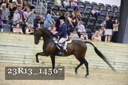 23R13_14567 proof