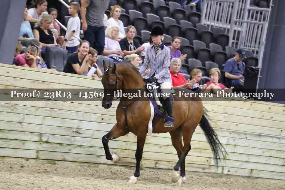 Proof 23R13_14569