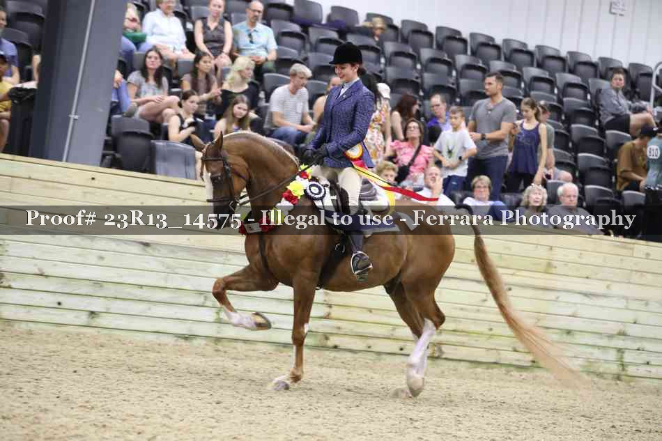 Proof 23R13_14575
