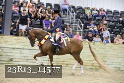 23R13_14577 proof