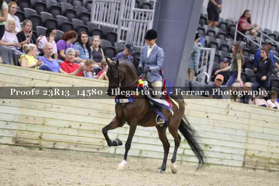Proof 23R13_14580