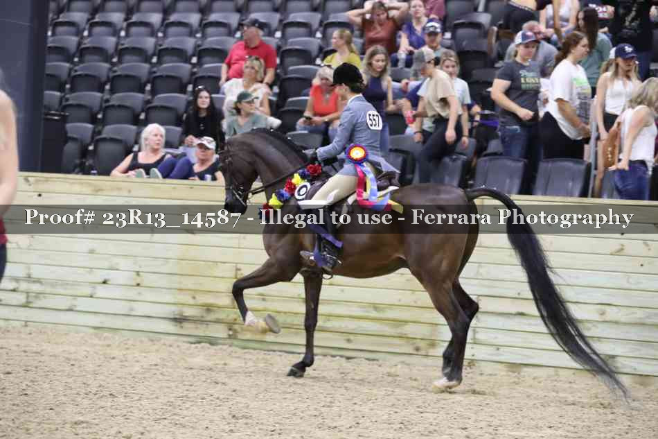 Proof 23R13_14587