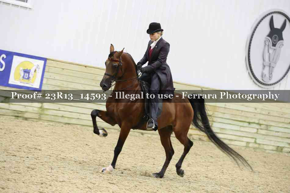 Proof 23R13_14593