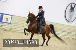 23R13_14593 proof