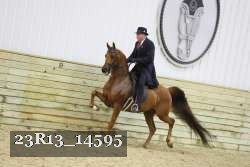 23R13_14595 proof