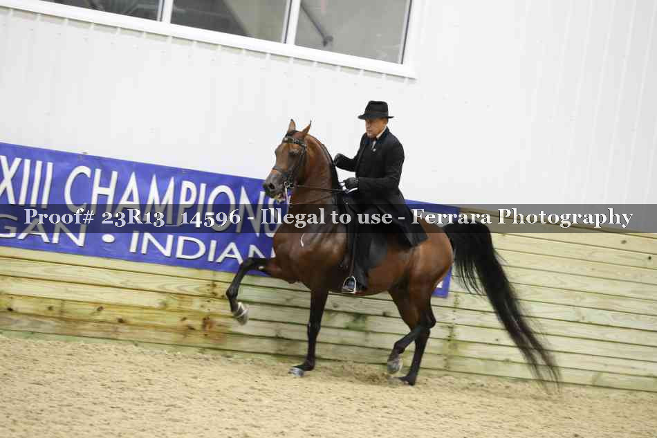 Proof 23R13_14596