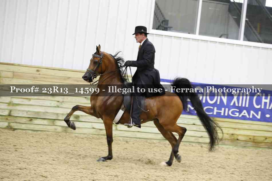 Proof 23R13_14599