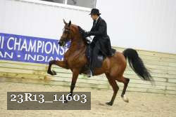 23R13_14603 proof