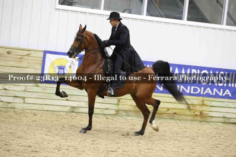 Proof 23R13_14604