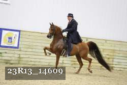 23R13_14609 proof