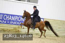 23R13_14610 proof