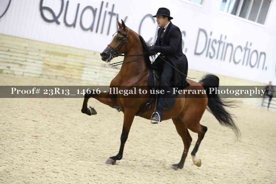 Proof 23R13_14616