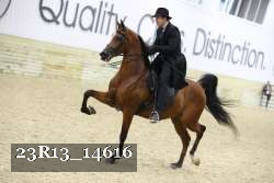 23R13_14616 proof