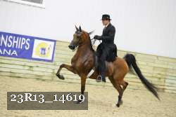 23R13_14619 proof