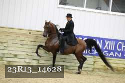 23R13_14628 proof