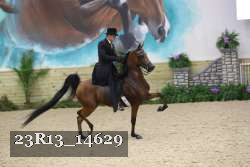 23R13_14629 proof