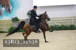 23R13_14630 proof