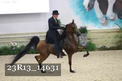 23R13_14631 proof