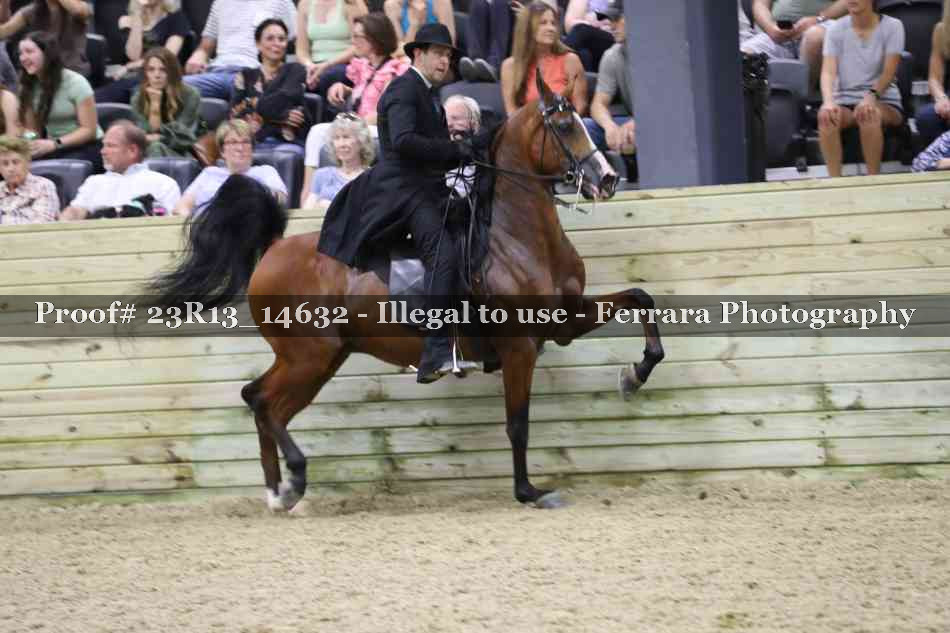 Proof 23R13_14632