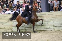 23R13_14632 proof