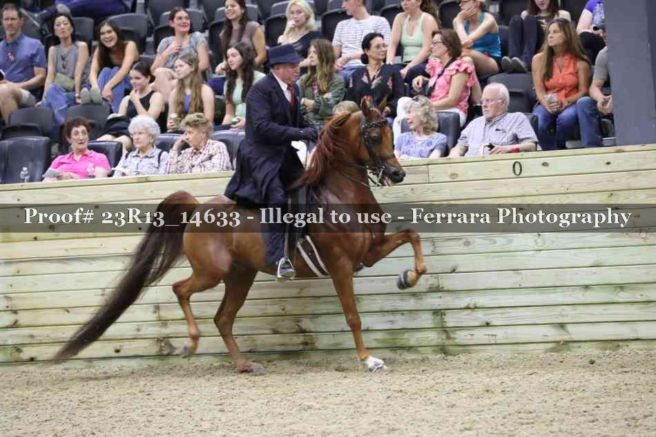 Proof 23R13_14633