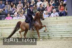 23R13_14633 proof
