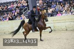 23R13_14635 proof