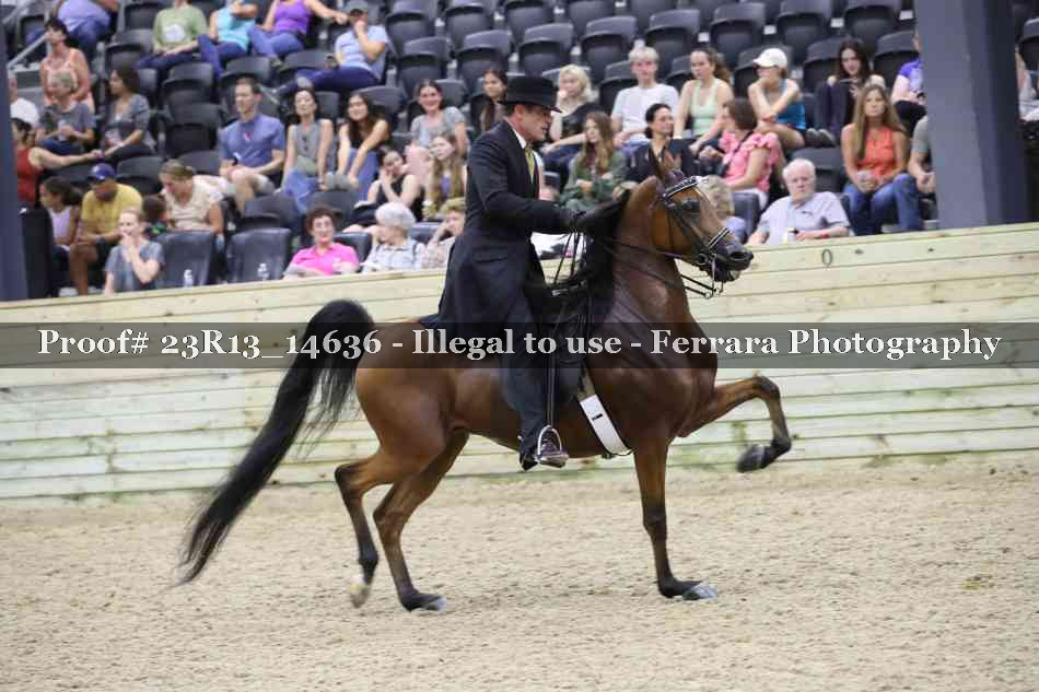 Proof 23R13_14636
