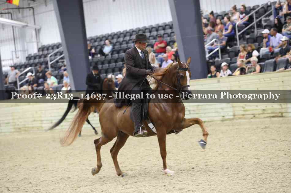 Proof 23R13_14637