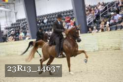 23R13_14637 proof