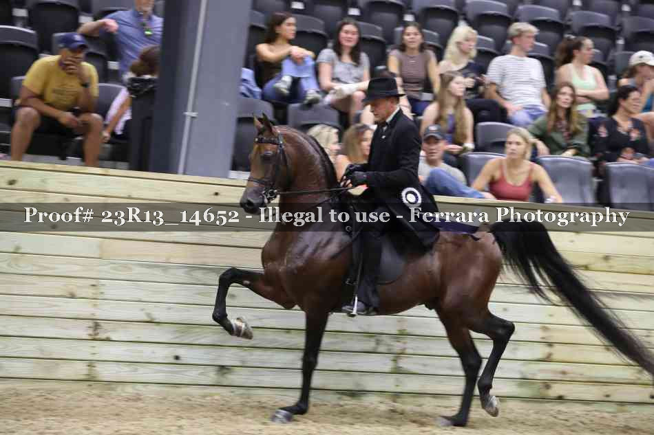 Proof 23R13_14652