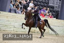 23R13_14654 proof
