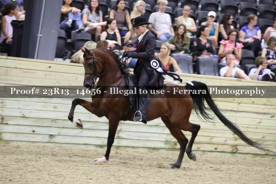 Proof 23R13_14656