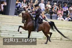 23R13_14656 proof