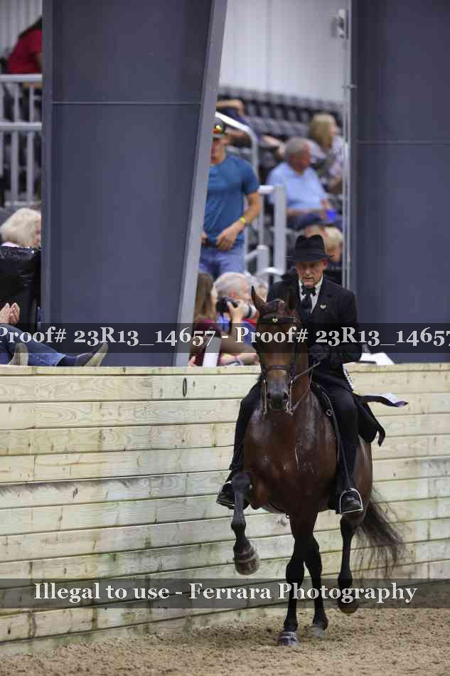 Proof 23R13_14657