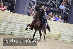 23R13_14658 proof
