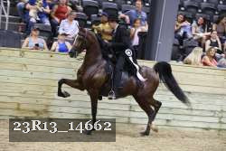 23R13_14662 proof