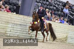 23R13_14663 proof