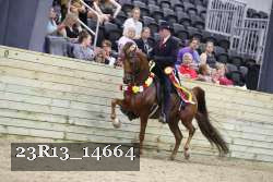23R13_14664 proof