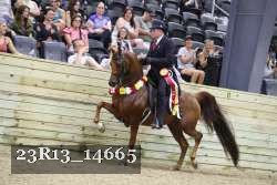 23R13_14665 proof