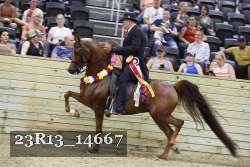 23R13_14667 proof
