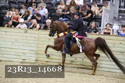 23R13_14668 proof