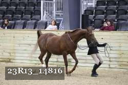 23R13_14816 proof