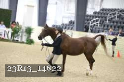 23R13_14822 proof