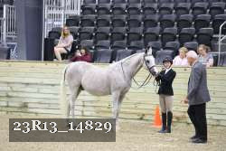 23R13_14829 proof
