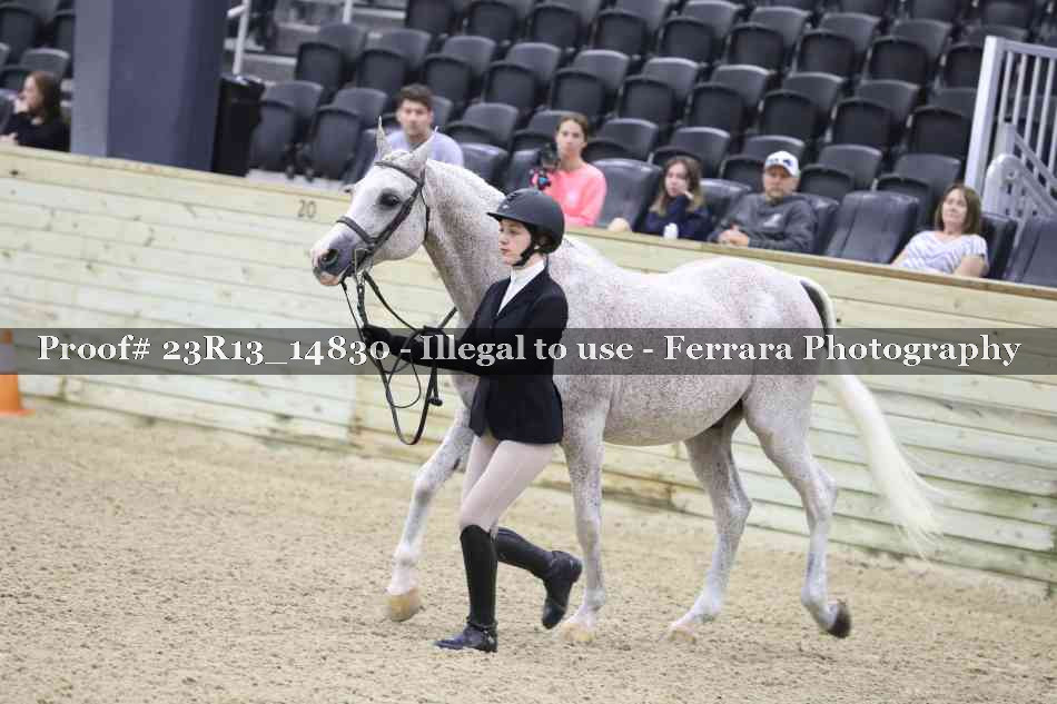 Proof 23R13_14830
