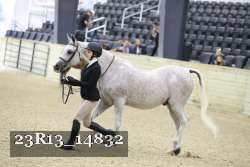 23R13_14832 proof