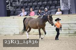 23R13_14836 proof