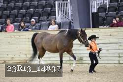 23R13_14837 proof